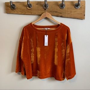 Cupcakes and Cashmere Velvet Top